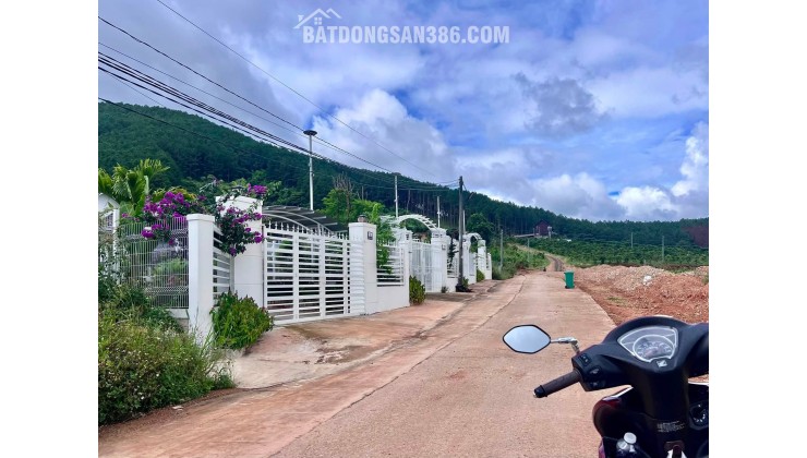 Cần Bán Đất An Sơn Villas 239m² Có 150m² Thổ Cư, Nở Hậu Đẹp
